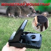 https://www.saleforonline.com/Mouse Trap
