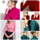 https://www.saleforonline.com/Women Solid High Neck Sweater